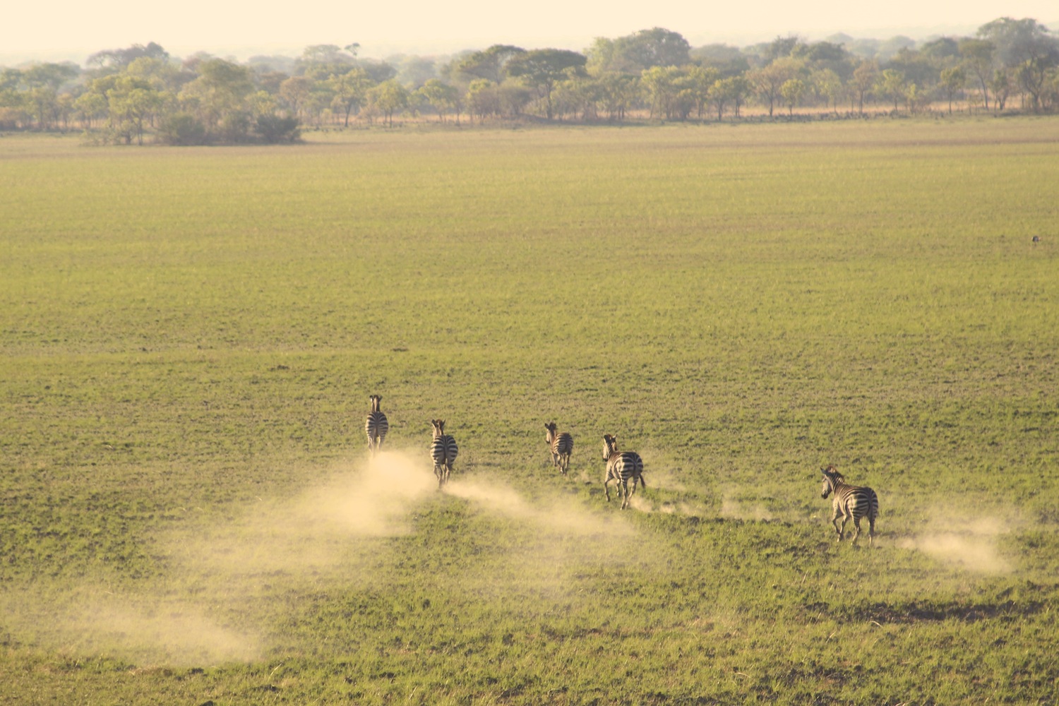 Kafue_Sambia_A Daerr27