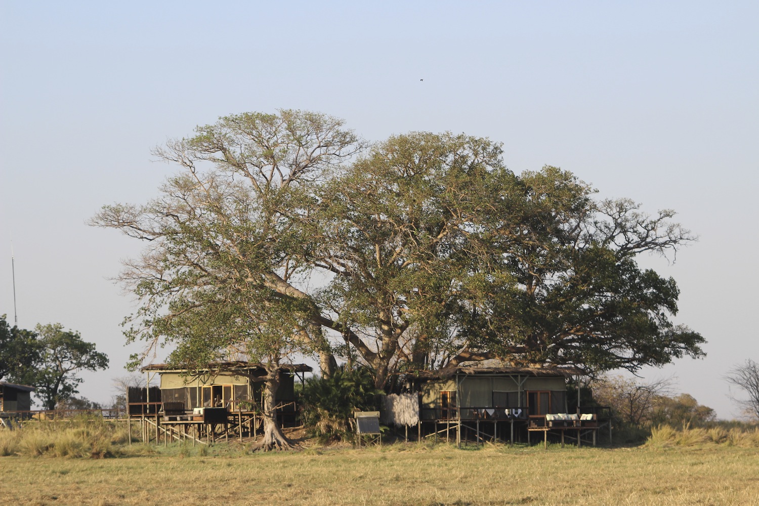 Kafue_Sambia_A Daerr33