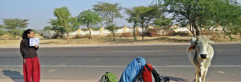 IMG_1153 (Copy)
