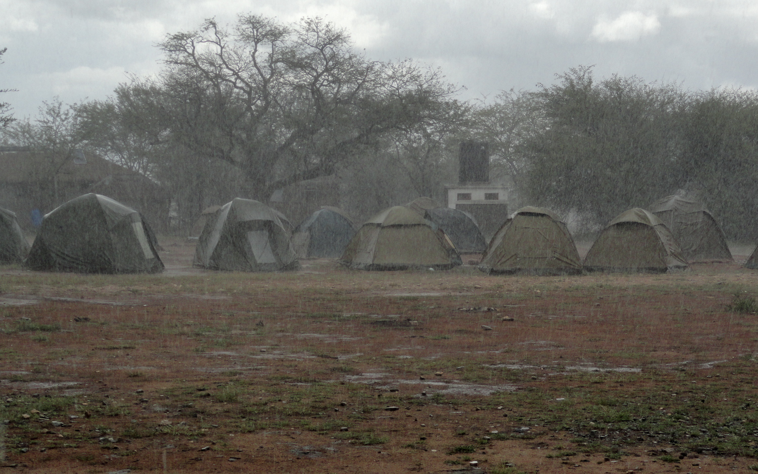 Regen im Camping in der Serengeti