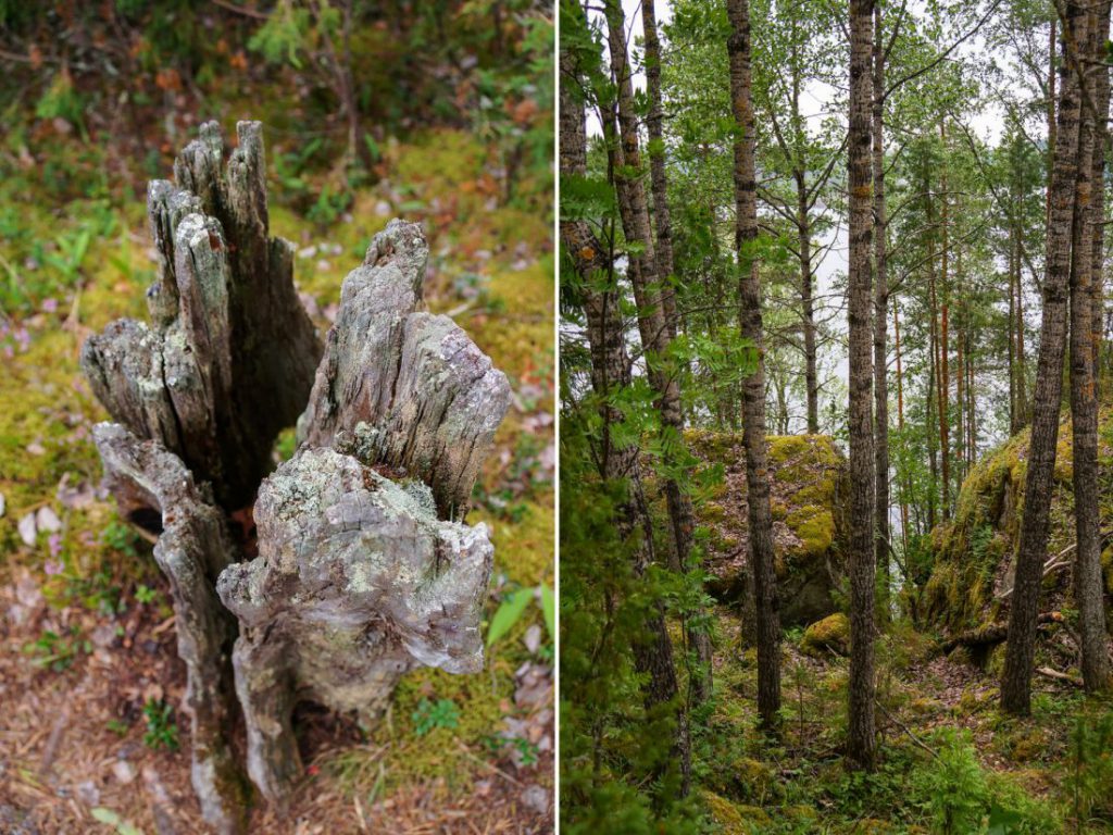 Mein Haus am See oder: Was ich im Mökki lernte – Finnland Reisebericht