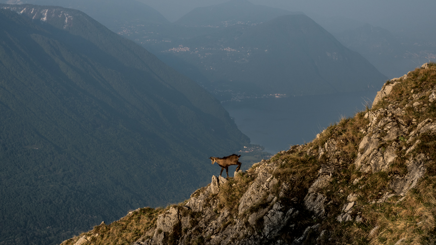 Luganer See oder die Bergziege auf Abwegen