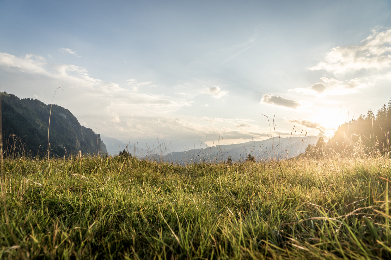 LIFE-for-FIVE-fernweh-Morgenstimmung auf der Lombachalp