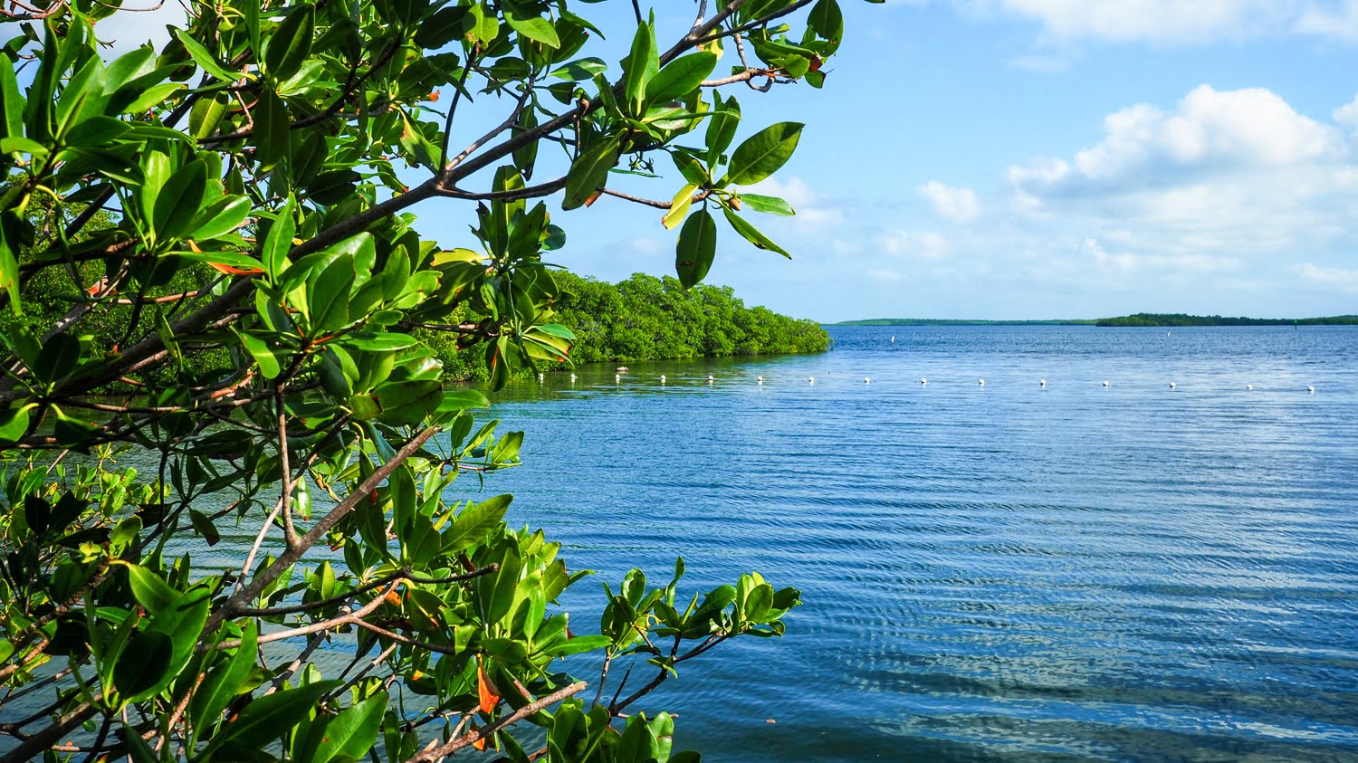 John Pennekamp Coral Reef State Park